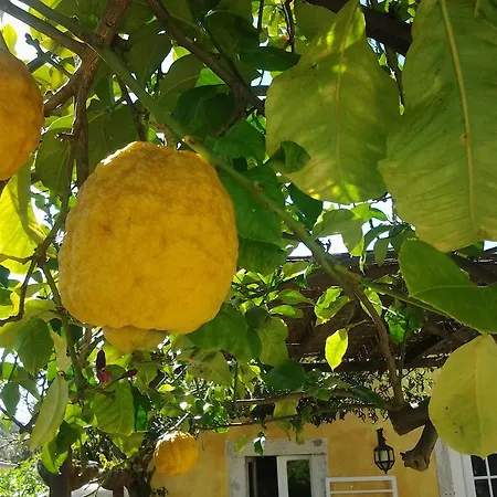 Casa vacanze Casa Do Mar - Golf Jamor